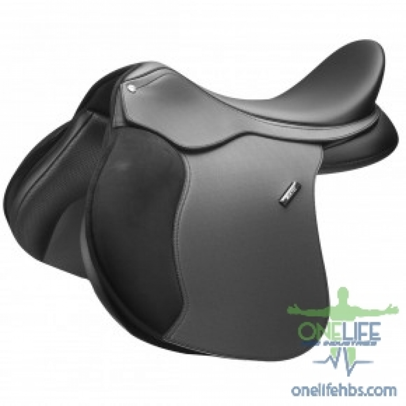 Upper Centrals and Canines